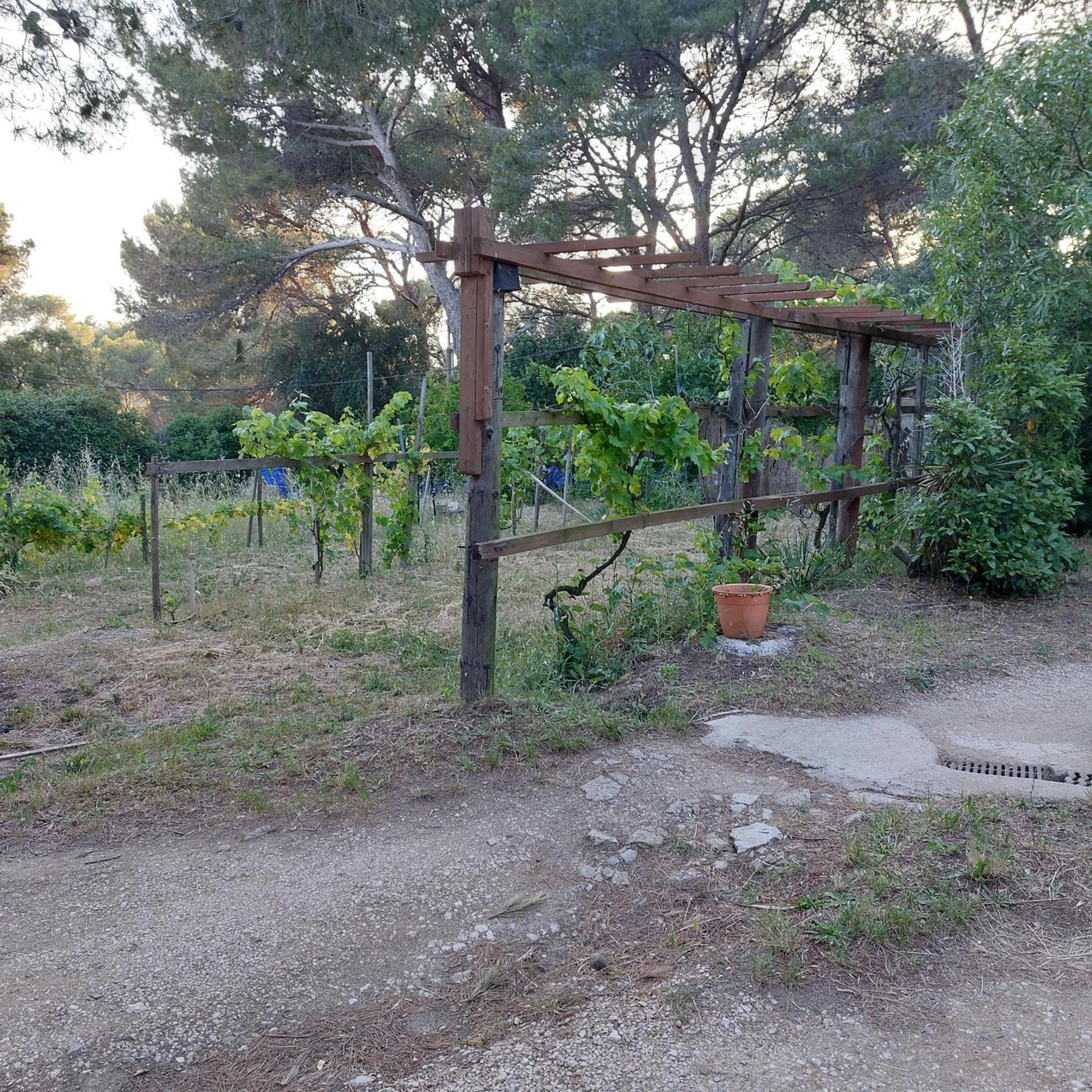 Naturetmer4 Six-Fours-les-Plages Bagian luar foto